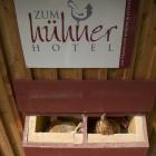 Hühnerhotel - täglich frische Eier vor Ort